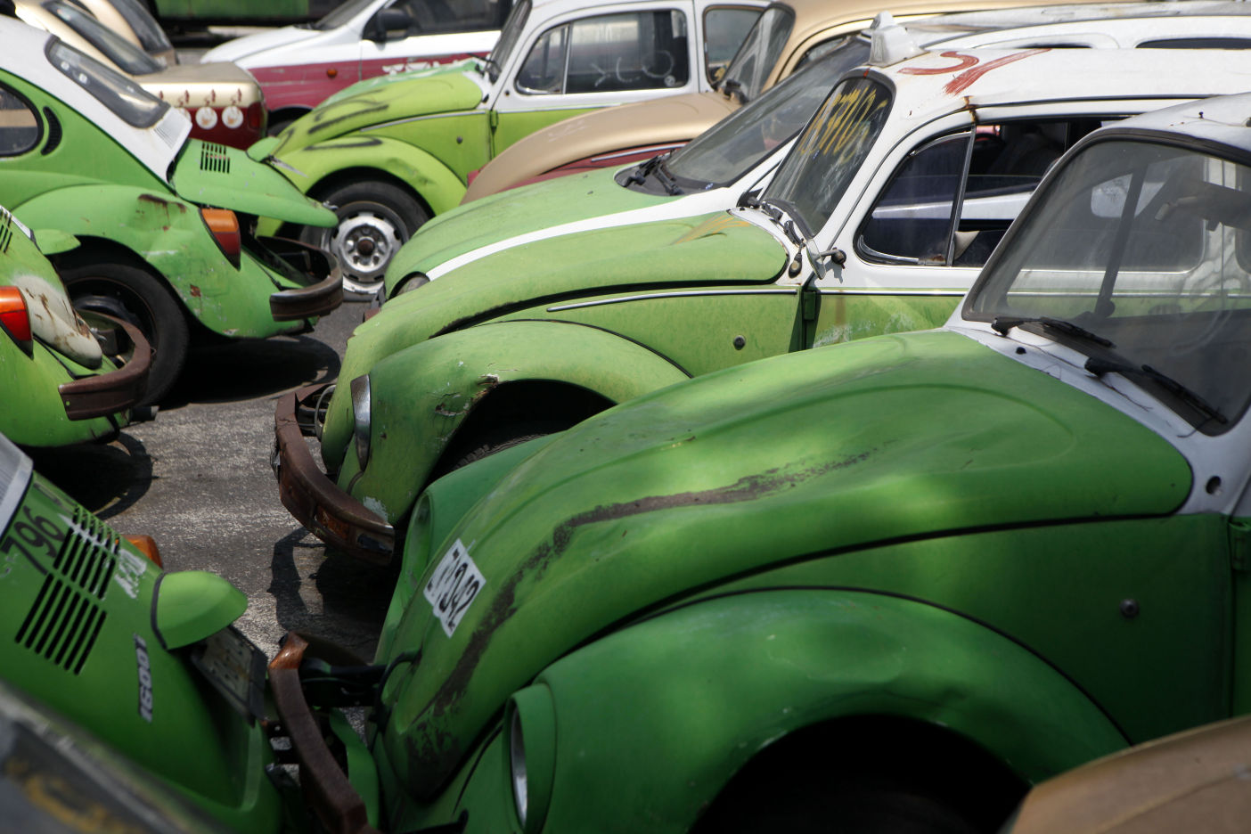 Mexico VW Beetles Photo Gallery